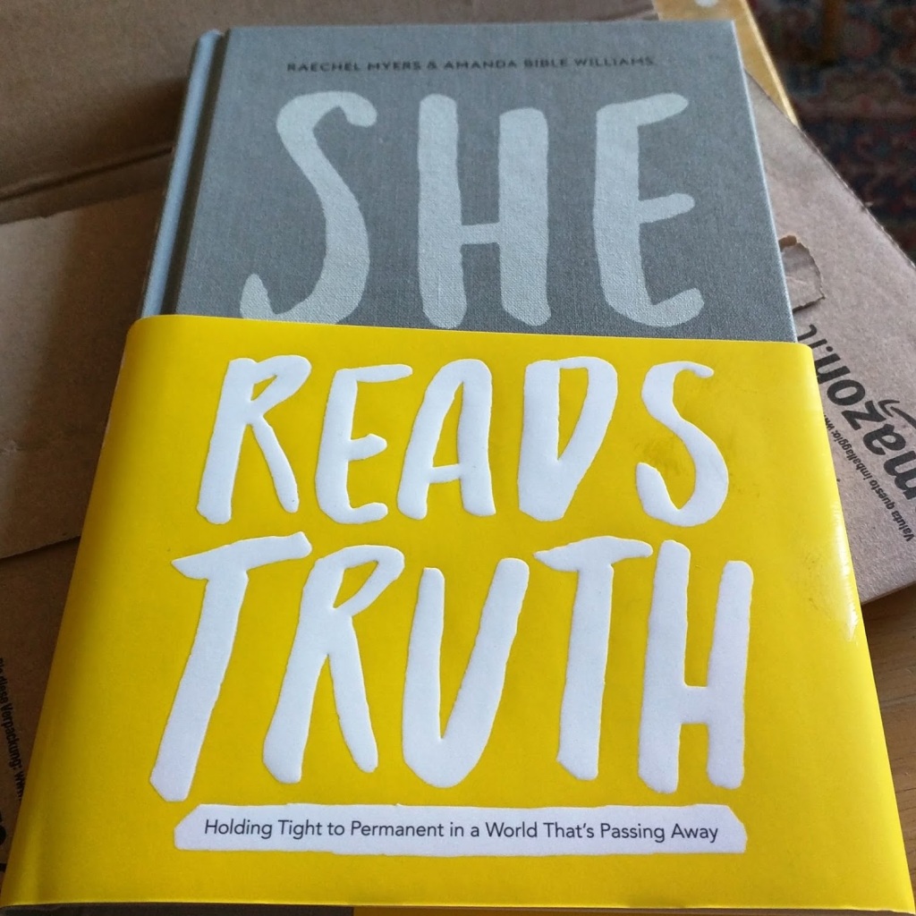 Raechel Myers & Amanda Bible Williams – She Reads Truth