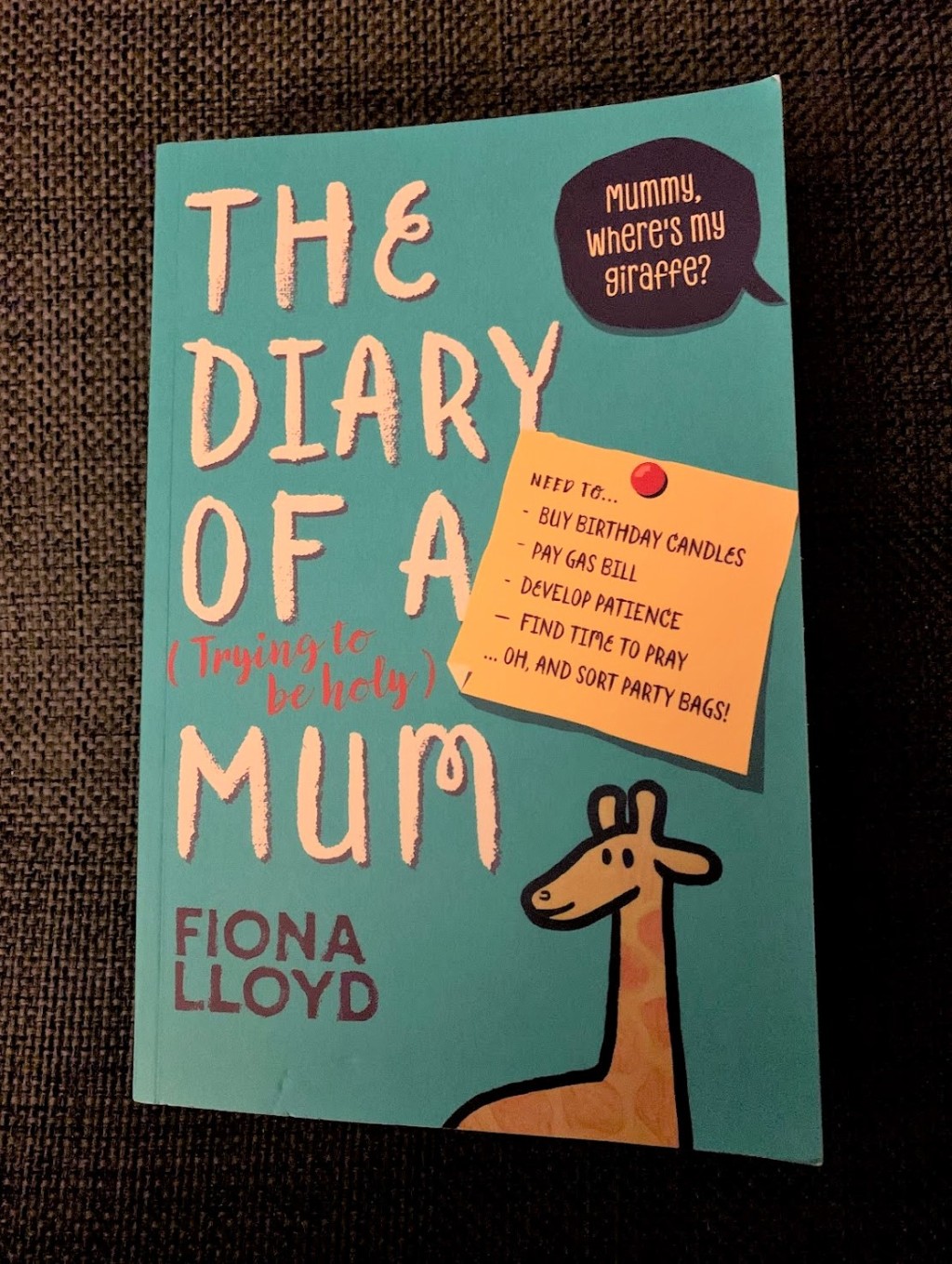 Fiona Lloyd – The Diary of a (Trying to be Holy) Mum